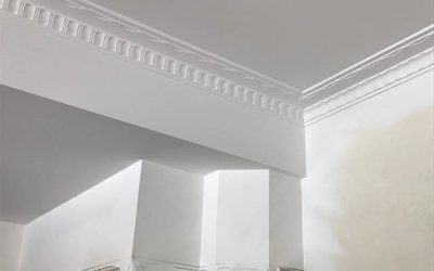 Ceilings, walls, cornices and roses